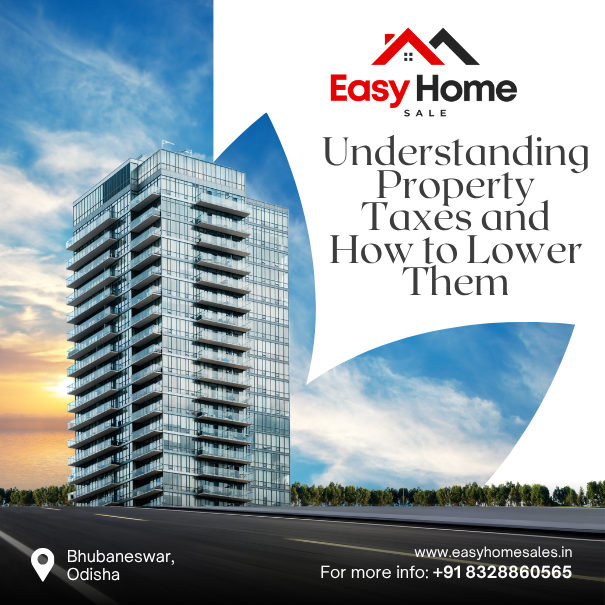 Understanding Property Taxes and How to Lower Them